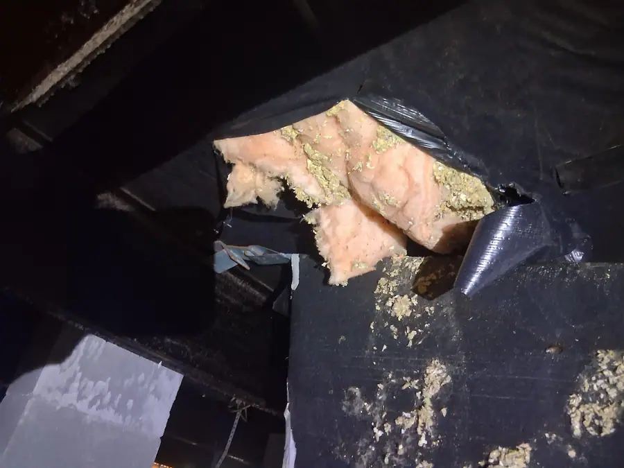 Hole torn in the belly above a block pier with pink insulation showing