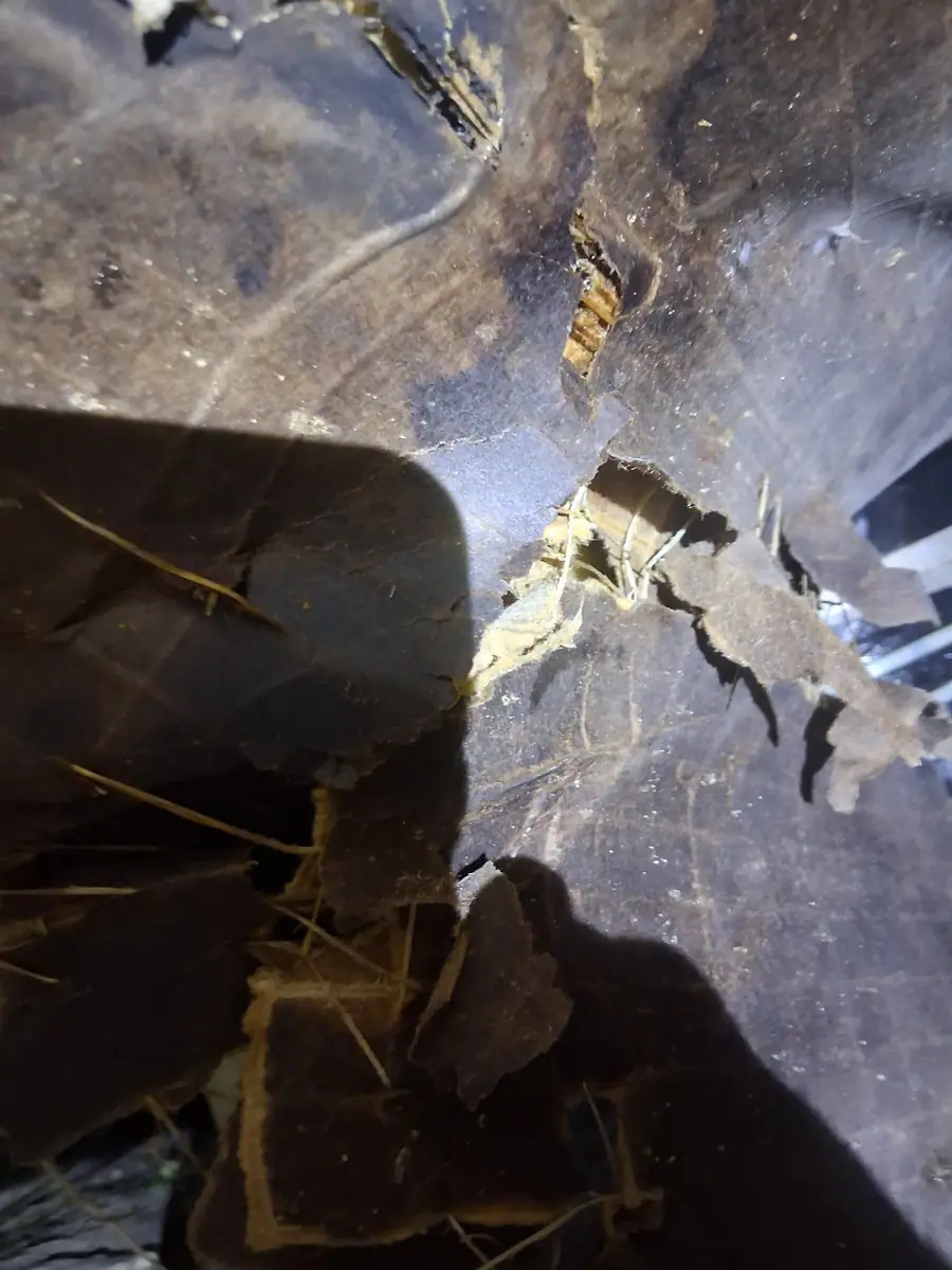 Old bottom board torn and flaking under a mobile home, with holes up to the floor