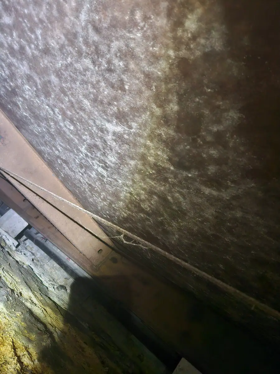 Mold spread across the old bottom board under a mobile home