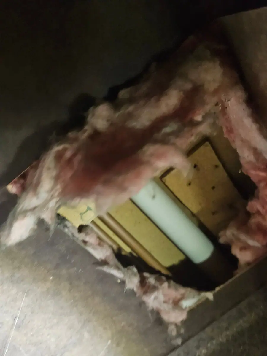 Hole in the belly showing pink insulation and a PVC pipe