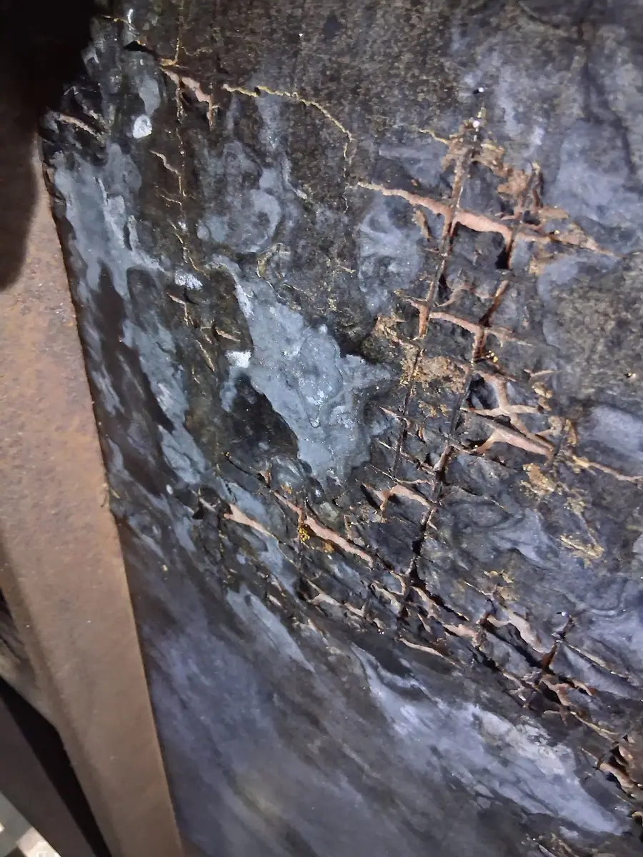 Moldy, rotted bottom board with the wire mesh showing through