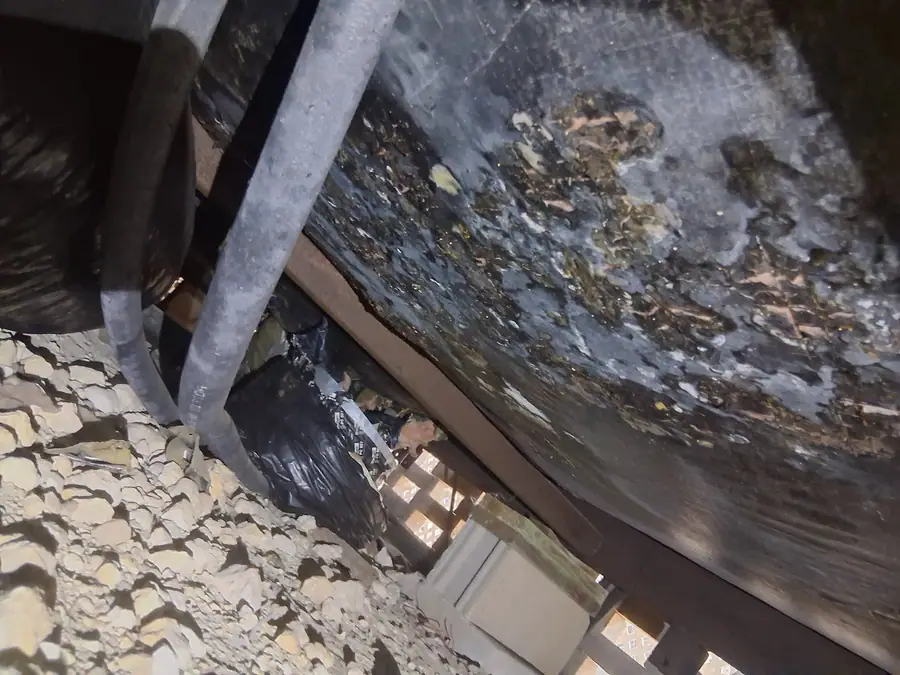 Mold-stained bottom board above a stabilizer strut