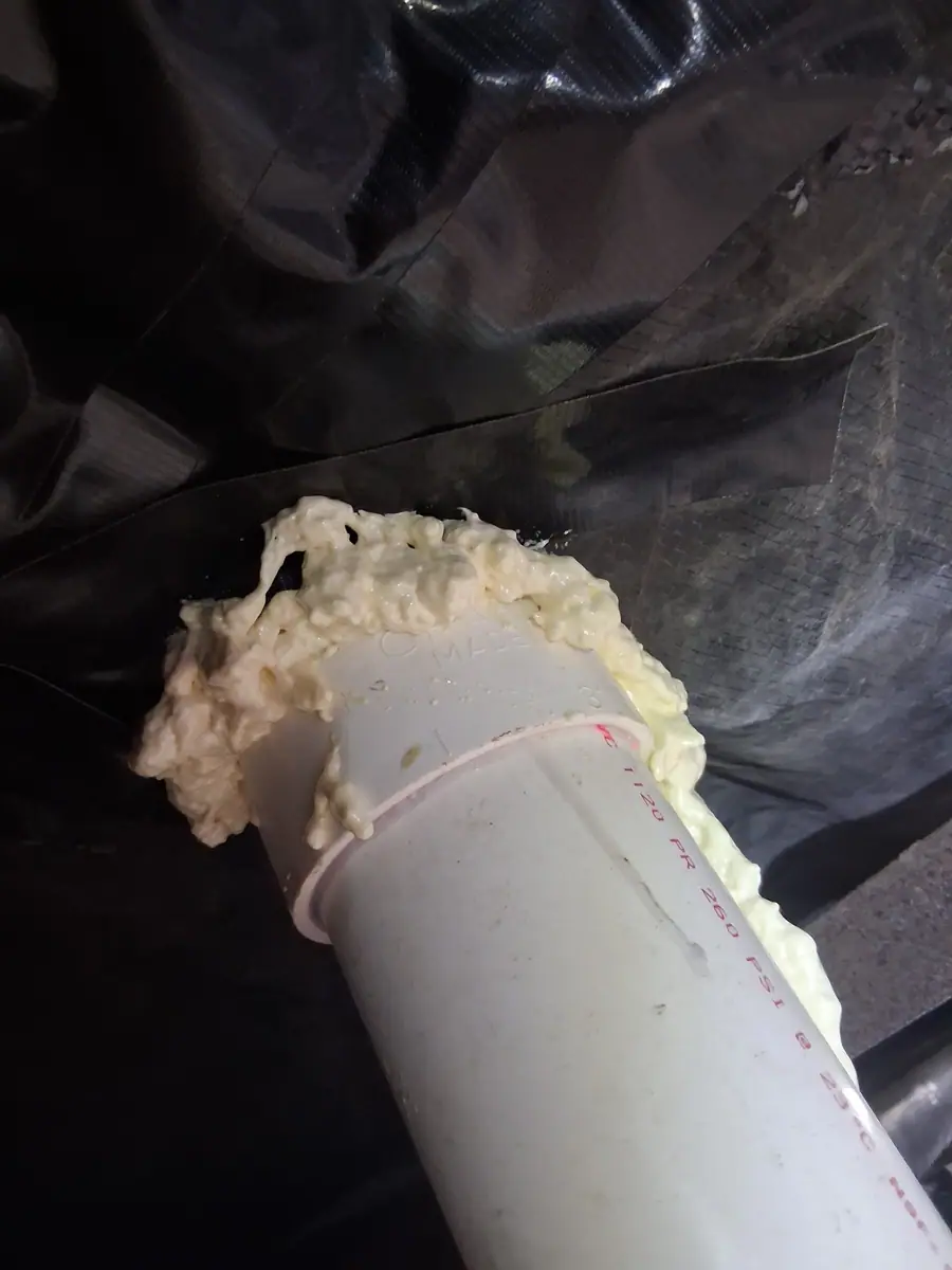 PVC pipe sealed with foam where it passes through the belly wrap