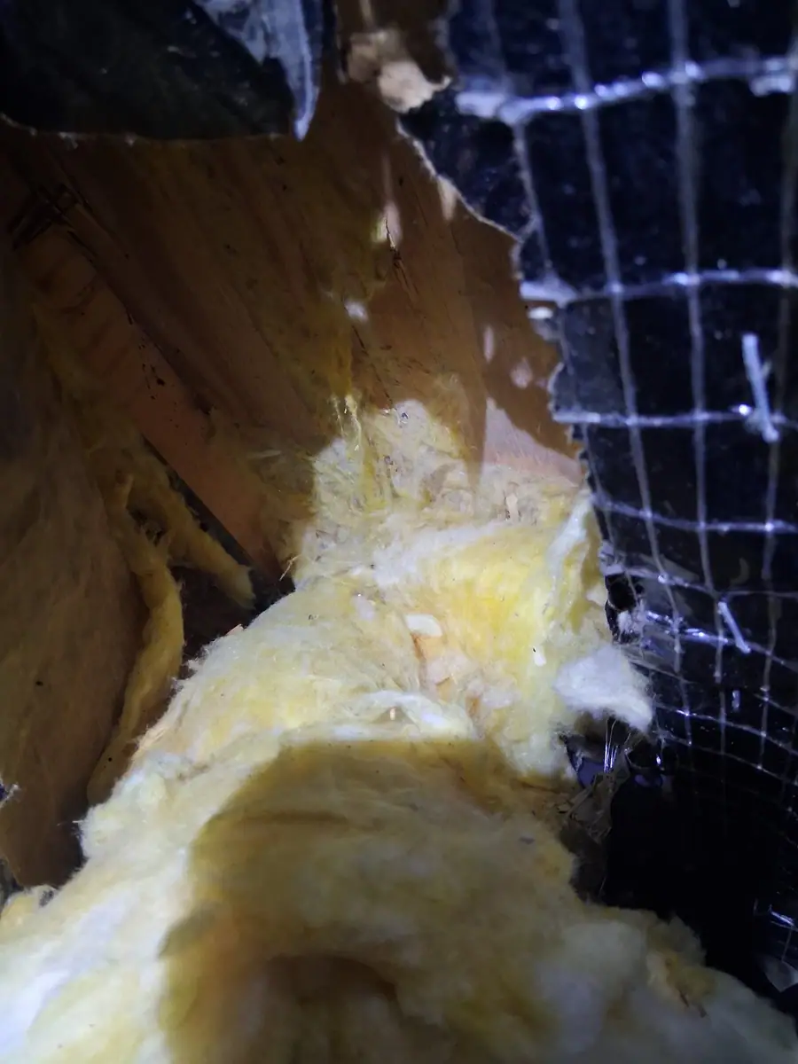 Yellow insulation and wire mesh in an opened belly