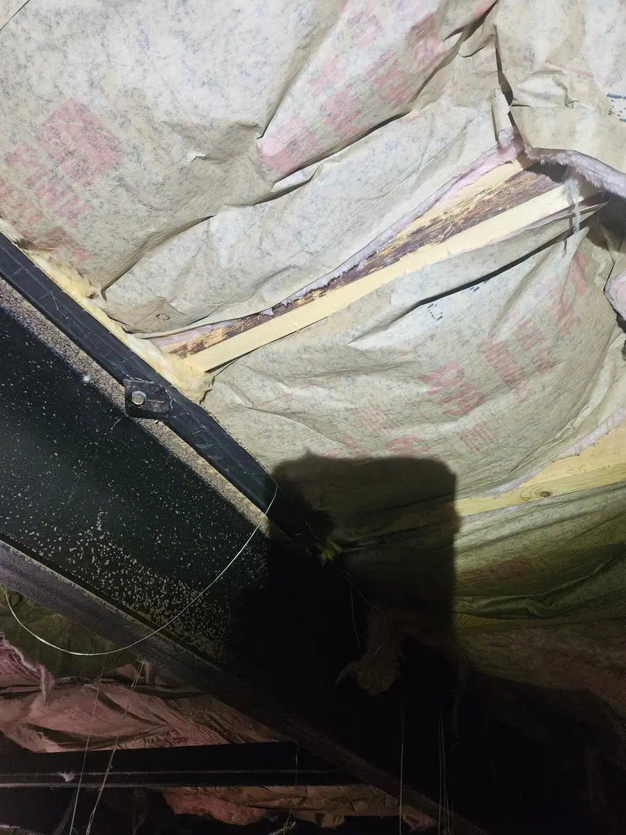 Kraft-faced insulation between the floor joists above the beam