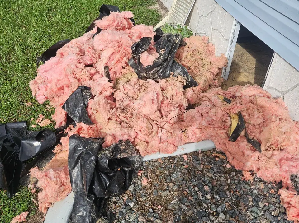 Old pink insulation pulled from under a blue manufactured home, piled for haul-away