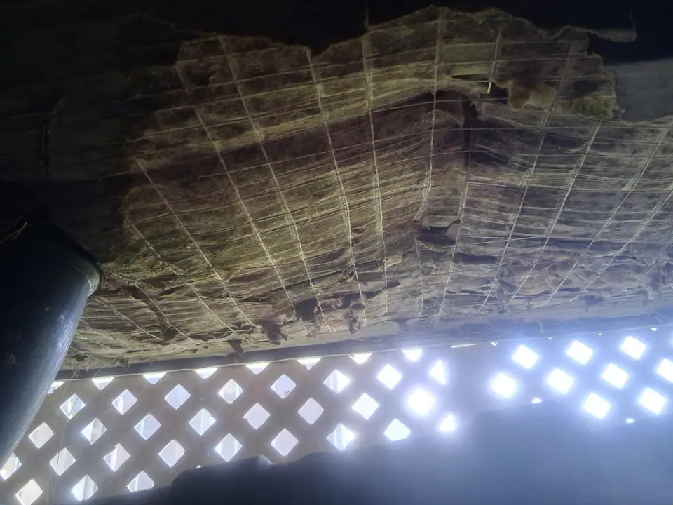 Old lattice skirting and sagging insulation seen from inside the crawl space