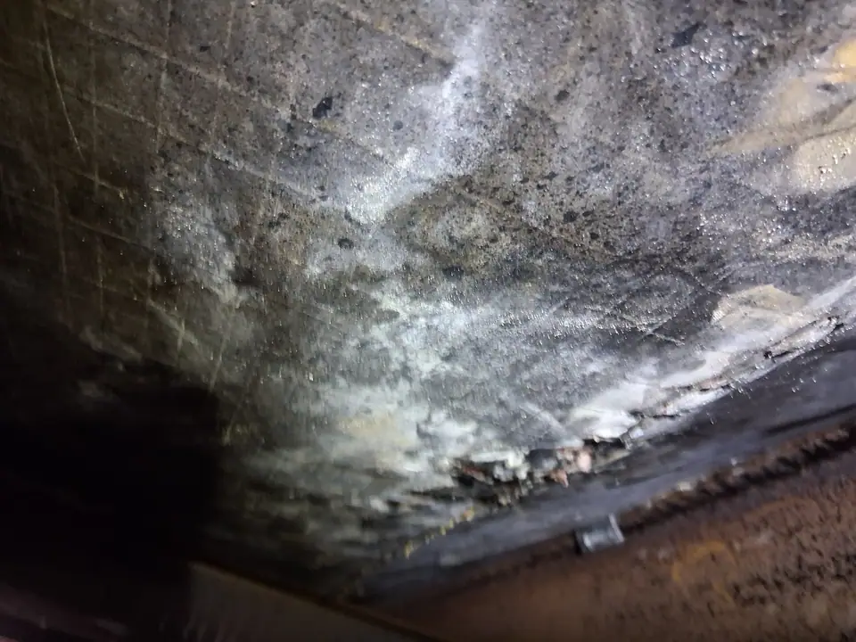 Mold spread across old bottom board from damp crawl space air