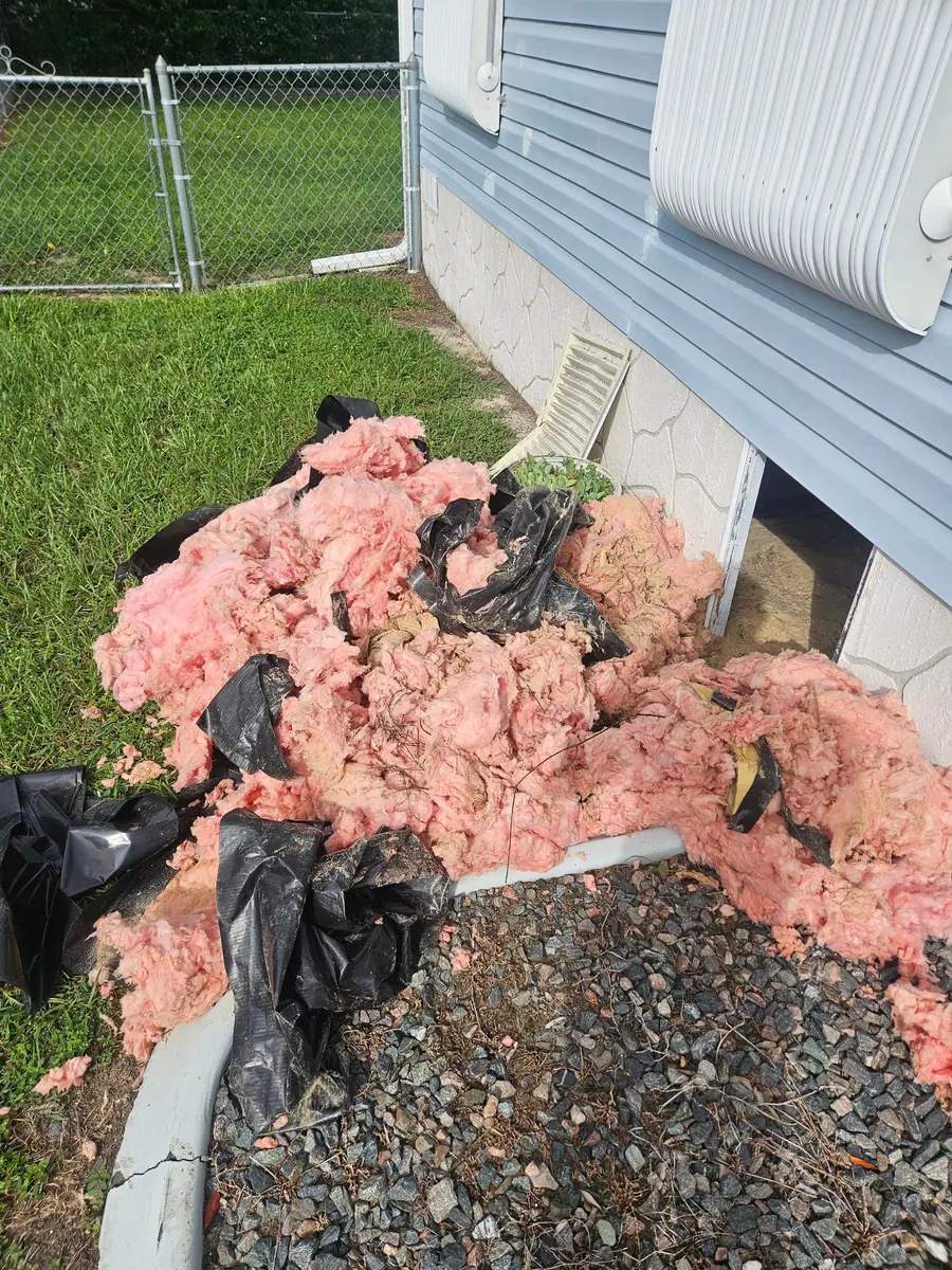 Old pink insulation pulled out and bagged beside a blue manufactured home