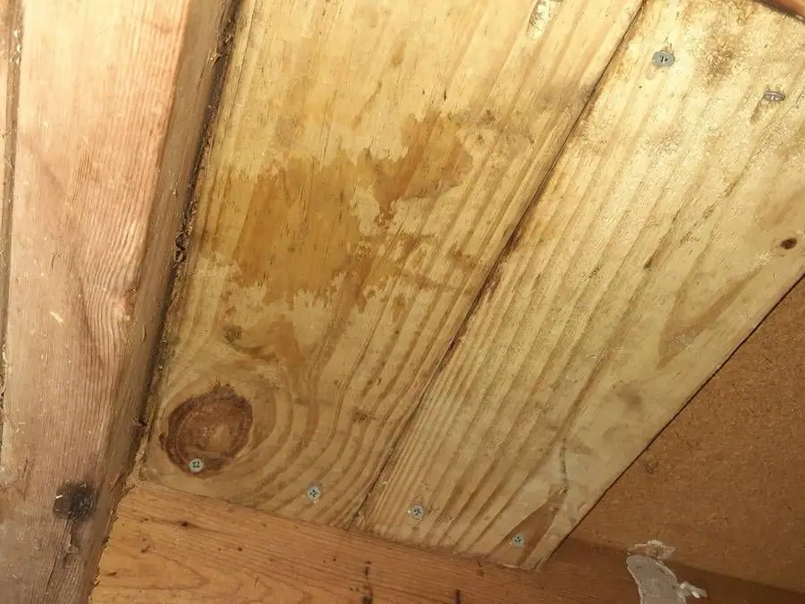 Water-stained floor decking from below, the start of a soft spot